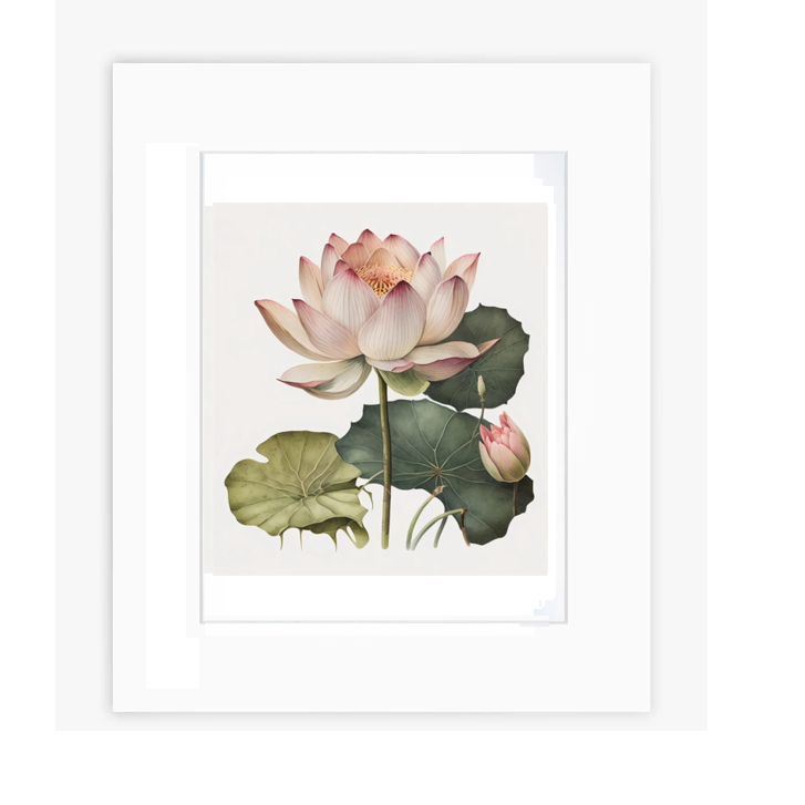 Wall Art - Lotus