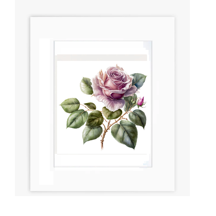 Wall Art - Rose
