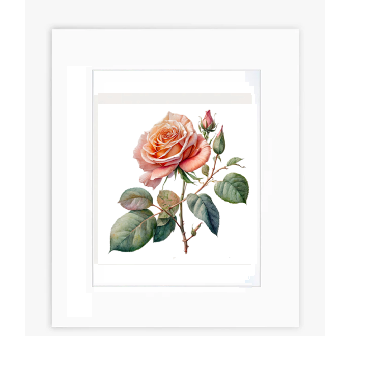 Wall Art - Rose